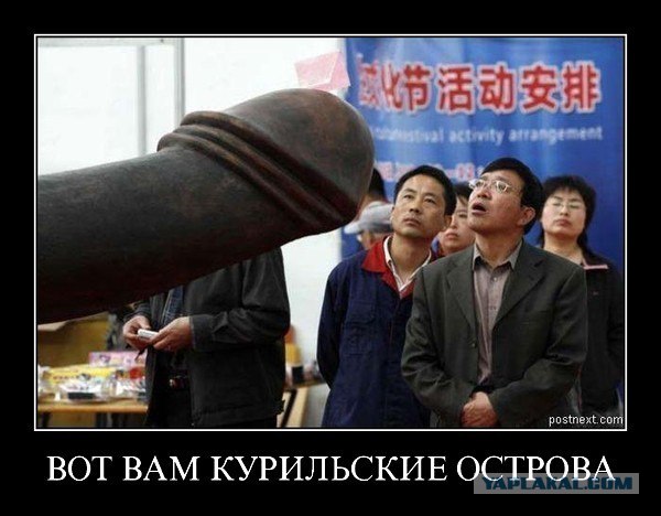 Война их ничему не научила