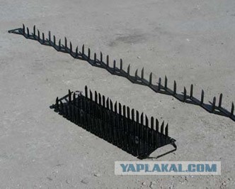 СтопХам 75 Шокер