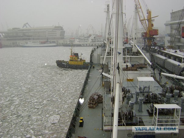 Черное море... замерзло!