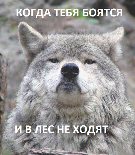 Придет серенький волчок