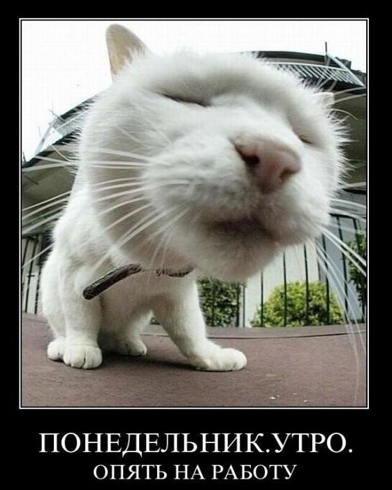 Картинки разные с интернету