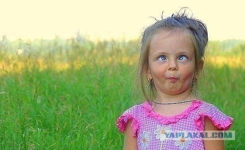 Немного картинок на воскресенье