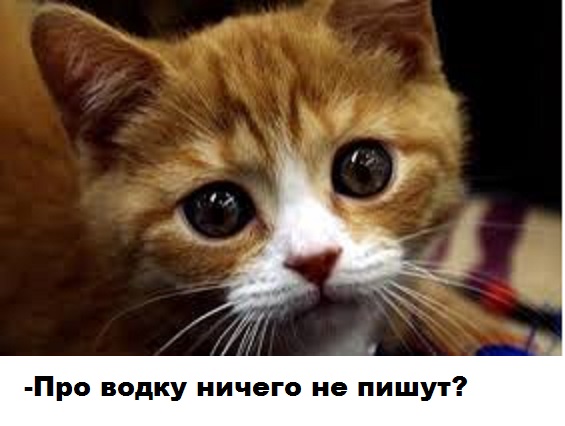 Бокал красного вина равен часу в тренажерном зале