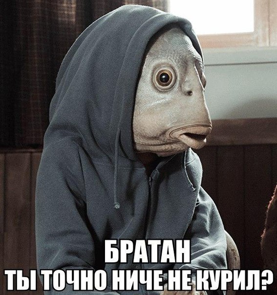 Всяко - разно...картинки