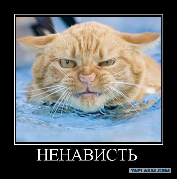 Демотиваторы на субботу