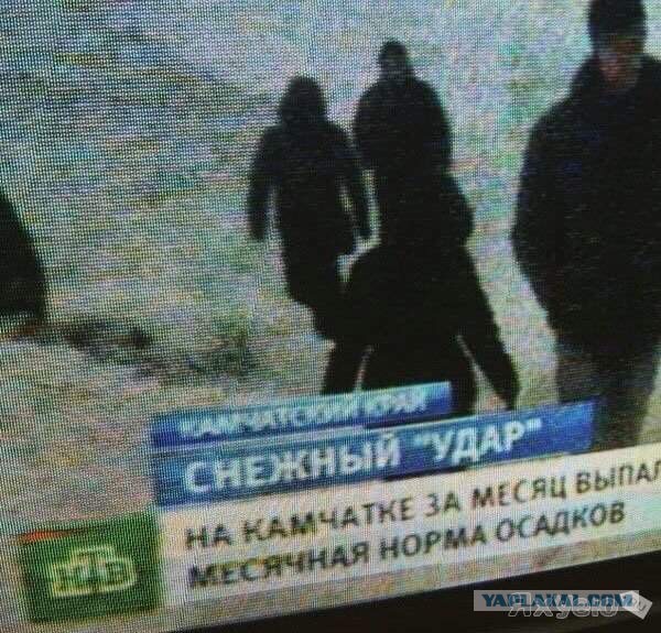 Смешные комментарии из социальных сетей 12.02.2016