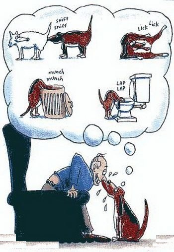 Смешные картинки
