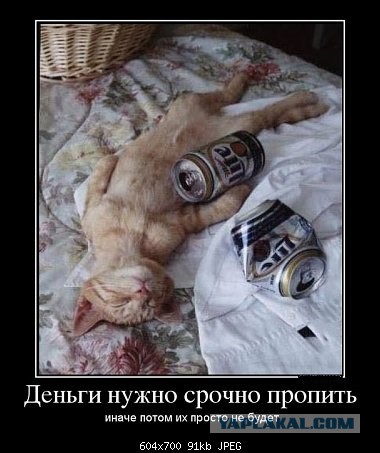 Демотиваторы на пятницу!