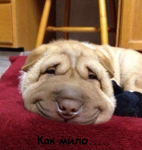 Это тоже дети...