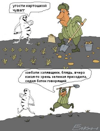Фотожаба: Йода и русский мужик