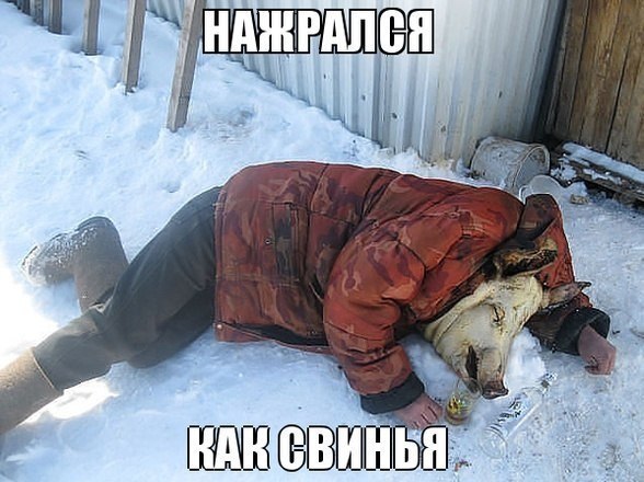 Ужасы и приколы из соцсетей 18+
