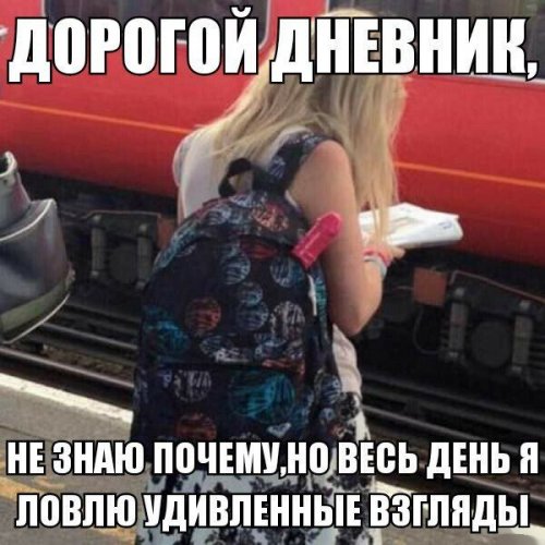 Картинки и приколы из сети, для поднятия настроения=)
