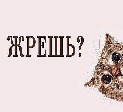 Картинки из интернетов