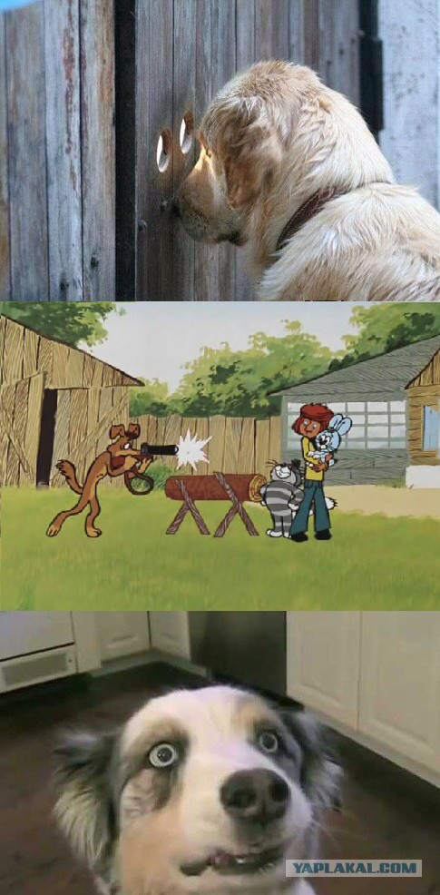 Я все вижу