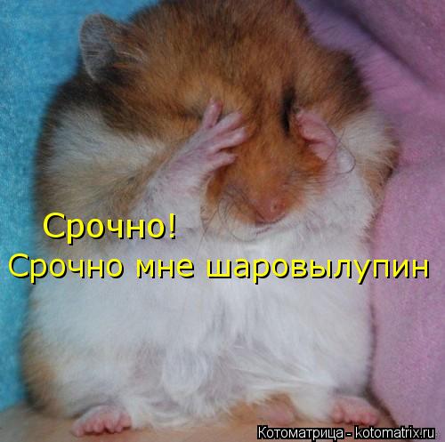 Моя жизнь никогда не станет прежней...