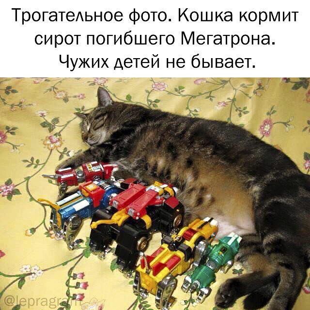 Порция абсурдного юмора на следующую неделю