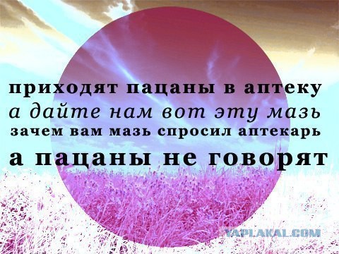 Порция абсурдного юмора на следующую неделю