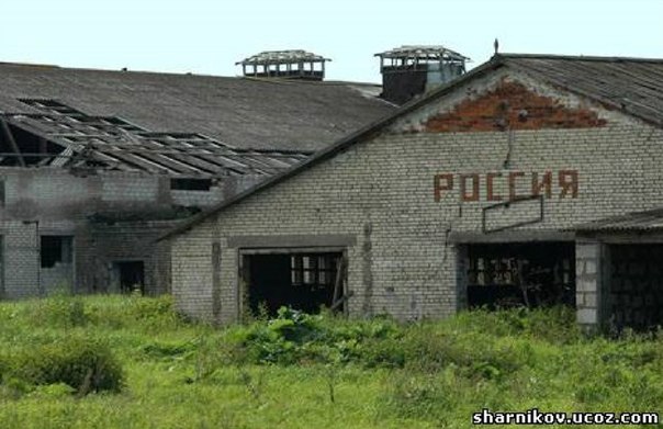 Боже! Дай мне знак!