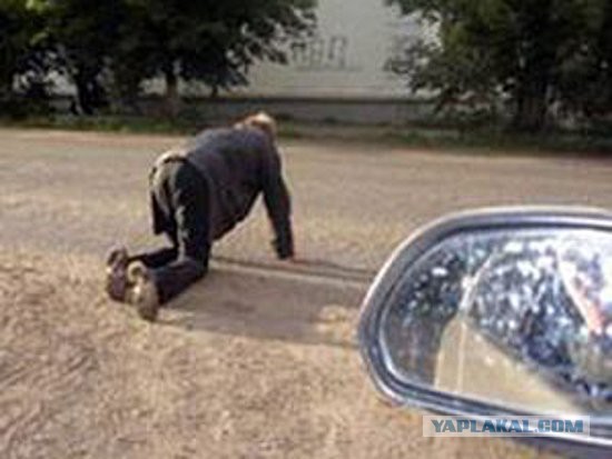 Жительница Самары специально раздавила собаку, вставшую перед её автомобилем