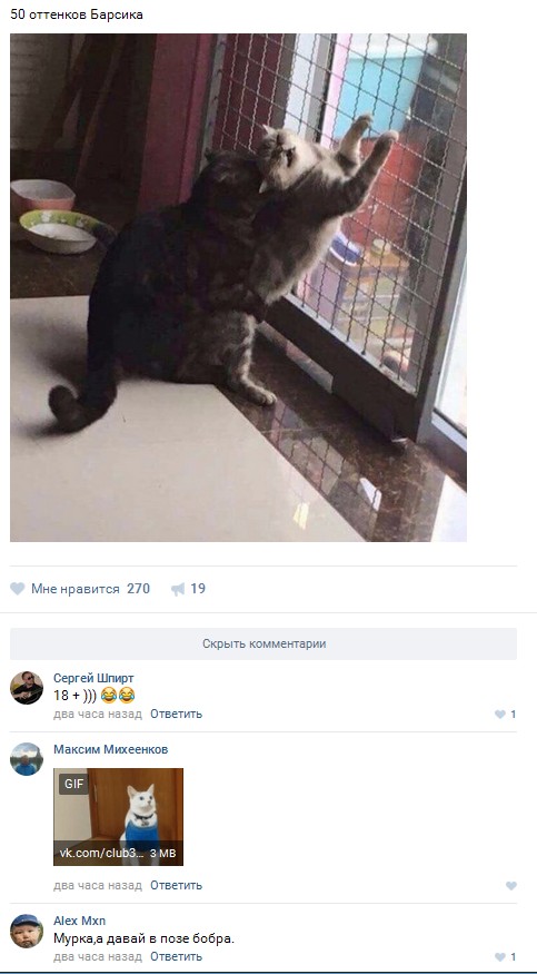 Ужасы и приколы из соцсетей 18+