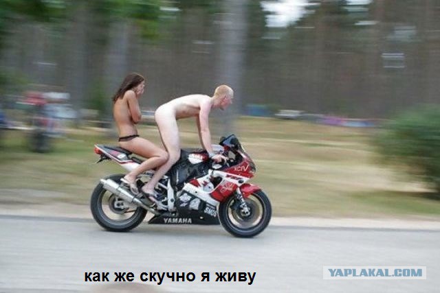 Подборка картинок