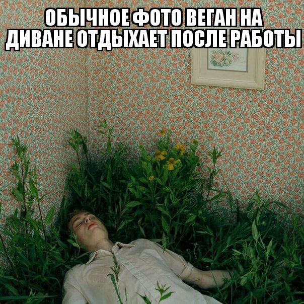 Не совсем светлый и адекватный юмор