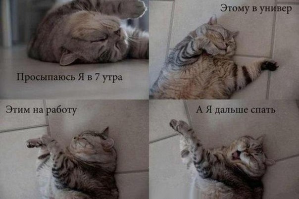 Прикольные картинки 03.06.2017
