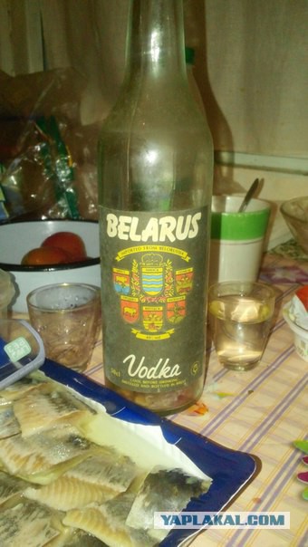 Привет из прошлого