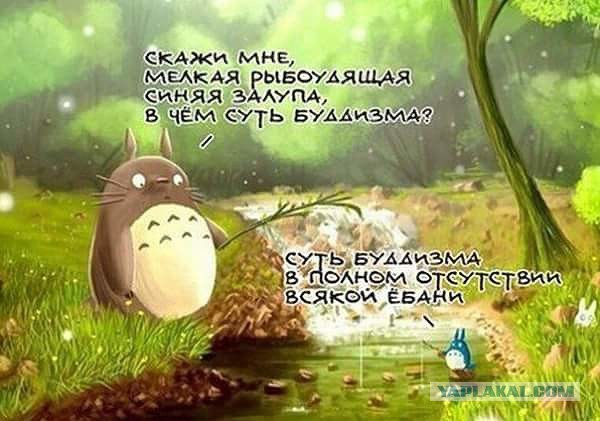 А вот и деградация подтянулась! Ныряем в омут с головой!