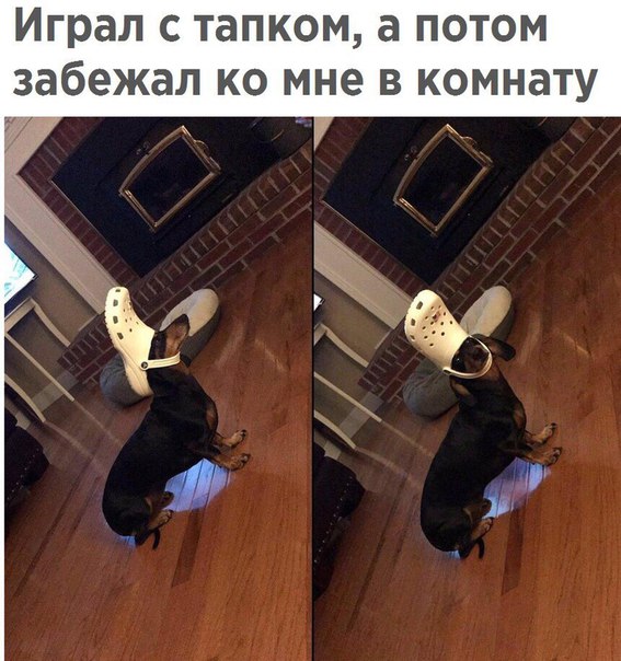 Нестандартный юмор
