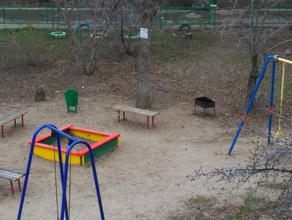 Шашлыки во дворе многоквартирного дома