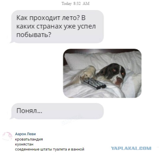Нестандартный юмор