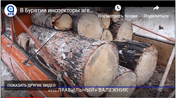 «Неправильный» валежник