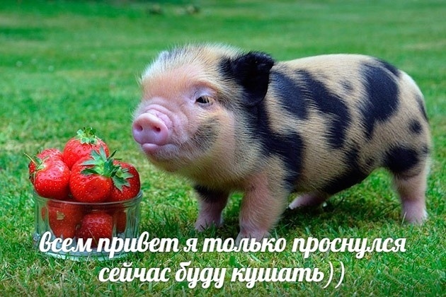 Нас накрывает мощная доза