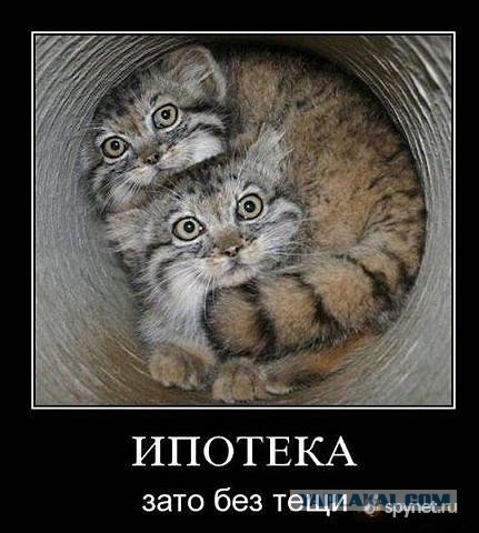 Древние мемы с ВК. Для тех кто забыл