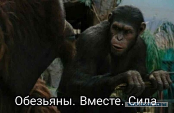Формирование Черной Революционной Армии в Филадельфии