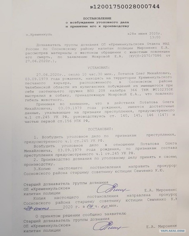Полное видео про убийство хаски под Челябинском