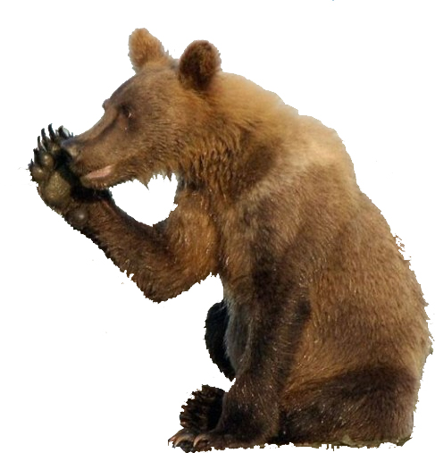 Маша-а-а!Аууууу!