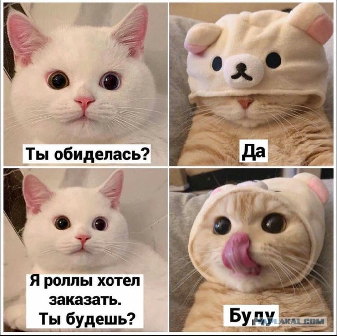 15144884.jpg