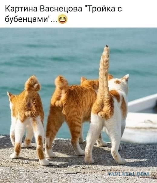 Всё равно хорошо