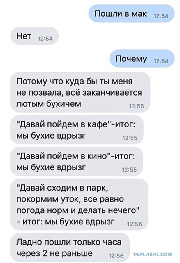 Весёлый полтишок 14.07