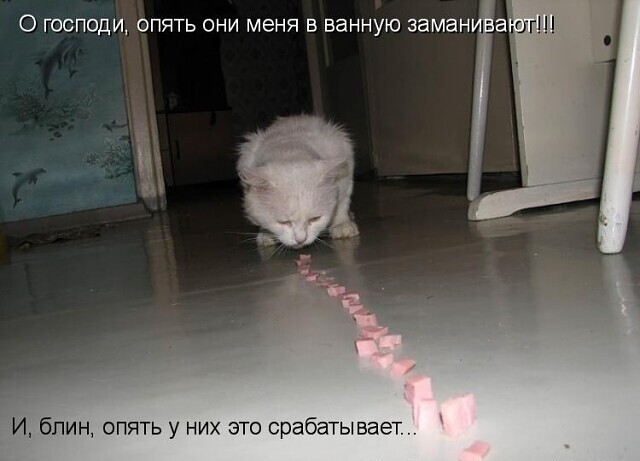 Картинки всяческие 10.01.2022