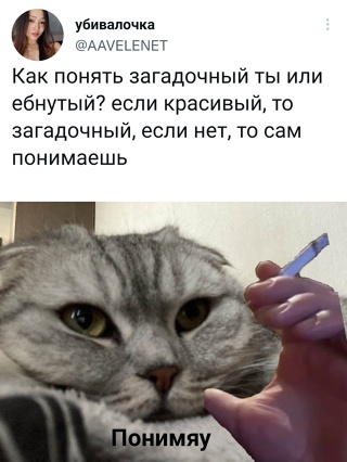 Картинки и мемы для настроения - 27