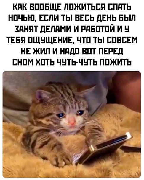 Немного картинок."Колбасный ветер". Август