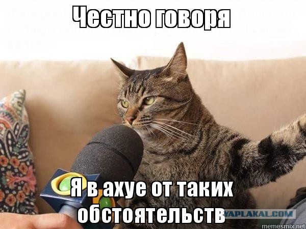 Что означает добровольная сдача в плен и кого мобилизуют в первую очередь — интервью с председателем комитета по обороне Госдумы