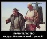 Новогодние елки для российских чиновников закупят в Польше