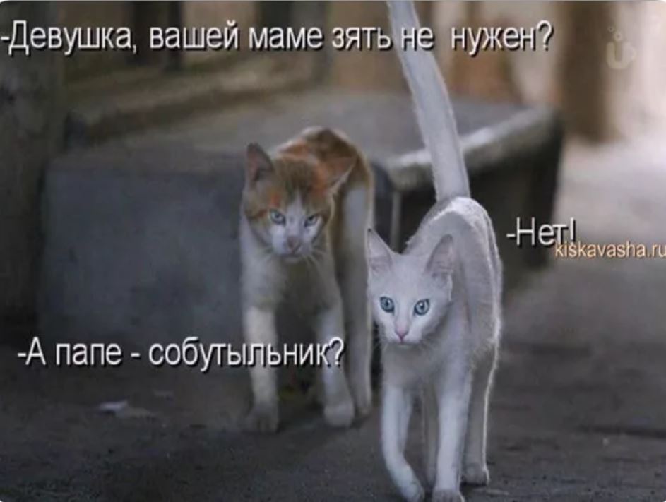 Картинки твоей маме зять не нужен