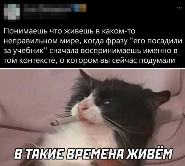 Жителя Краснодара оштрафовали на 40 тысяч рублей за выброшенную листовку с рекламой службы в армии по контракту