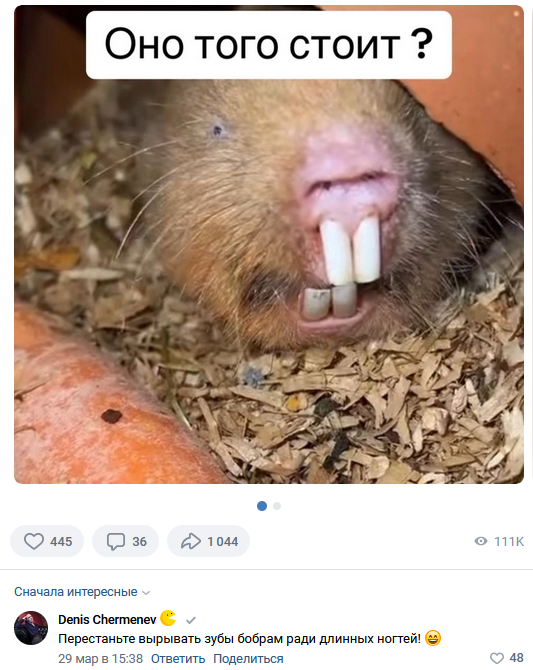 Смешные комментарии из социальных сетей 15.05.2024