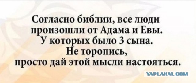 Весёлый полтишок 12.09.24